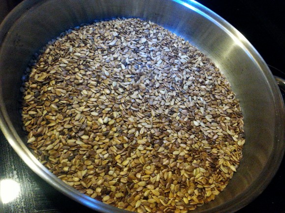 Toasted Sunflower Seeds