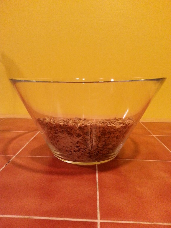 Sunflower Seeds In The Bowl